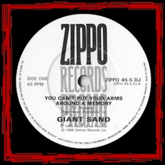 "You Can't Put Your Arms Around A Memory" - Zippo Promo 7" 45 1986