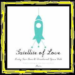 Howe Gelb - "Satellite Of Love" - RSD 2014 7" 45