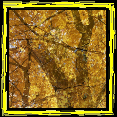 Howe Gelb - "Weathering Some Piano" - Bandcamp Download & Album